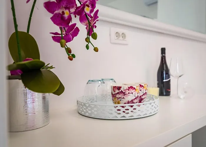 Luxury Old Town 扎达尔